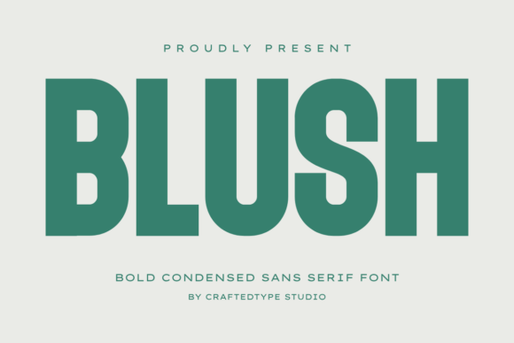 Blush: The Bold Sans Serif for Modern Brand Impact